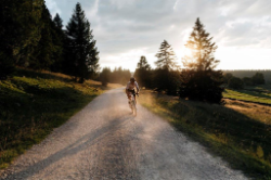 August 2023 - Choose the best gravel bike for you.jpg